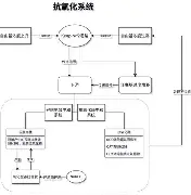 欧宝体育官方圣安东尼奥马刺内部会议纪要流出浙江稠州赛前篮板制胜，媒体一致点评：浙江稠州迎欧联关键赛的简单介绍